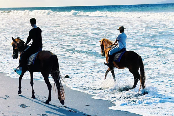Horse Riding