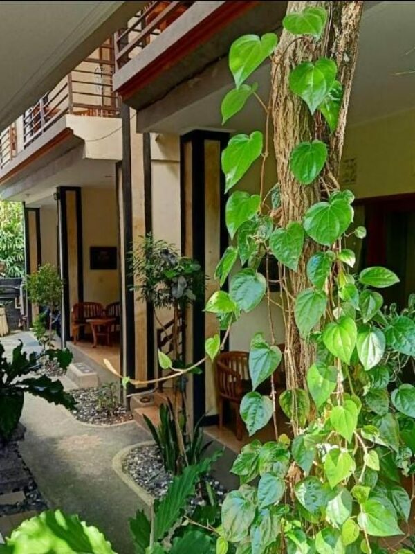 Pak'Vo' House (Tipe Kamar Twin Room Hastra) (1)