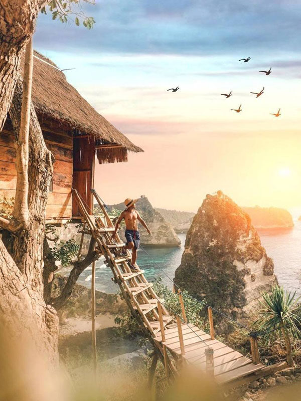 tree house
