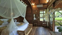 1_0011_WhatsApp Image 2024-05-07 at 08.37.32 (1)-min-min