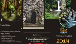 Package ubud (1)