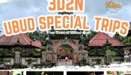 Package ubud (6)