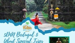 Package ubud (7)
