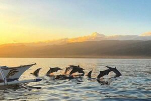 WhatsApp Image 2024-12-11 at 10.00.40-min