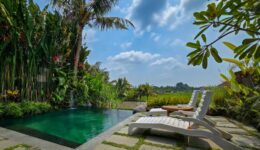 213750ee-c456-4ba8-b0ee-4fde7cf384fc